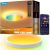 Govee Smart Ceiling Light 4300LM 15 Inch, RGBIC 2700K-6500K 1 Pack